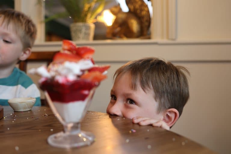 Cover Image for Your Kids Eat Free This Half Term at The Royal Forest