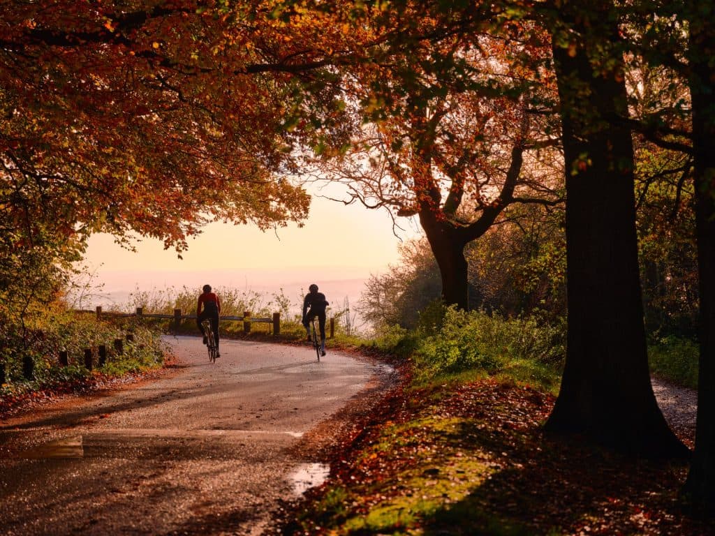 Cover Image for Take a walk on wild side…