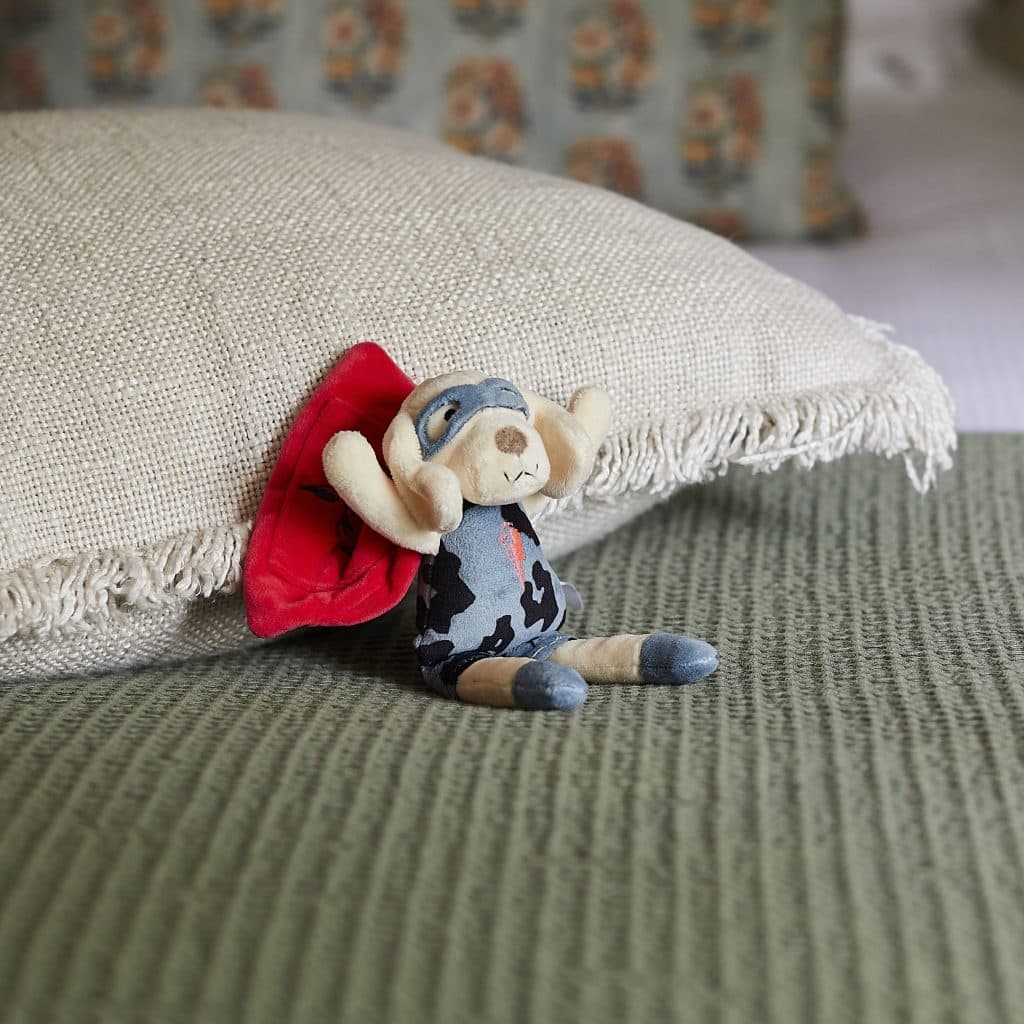 Cover Image for Free Scamp & Dude Sleep Buddy with Every Family Stay at The Royal Forest